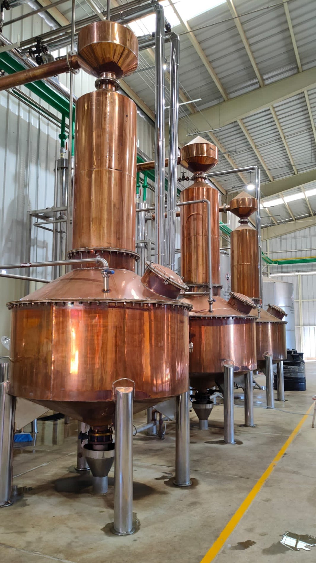 Tequila Distillation